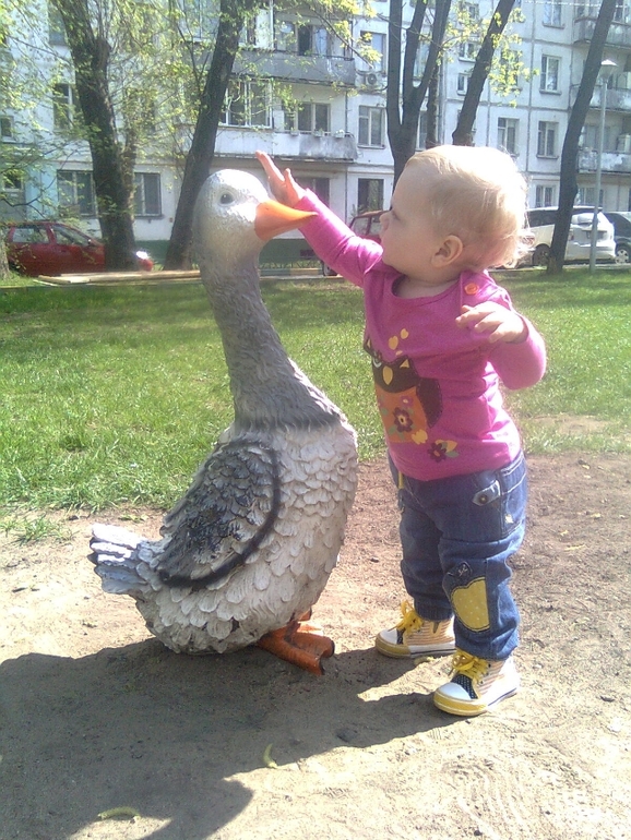 Любим гусей)))