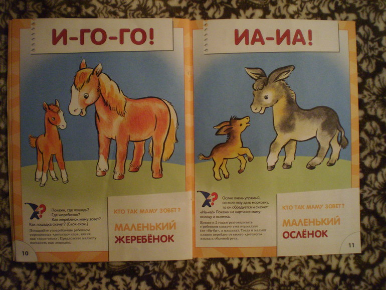 Как мы занимаемся по первой книжке