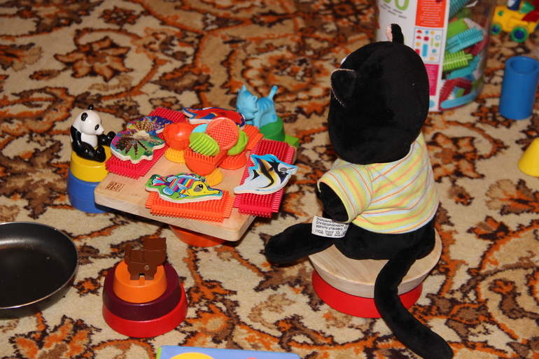 ТН Домашние животные. День 5. Заключительно-кошачий