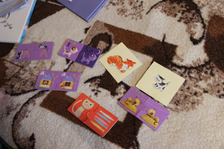 ТН Домашние животные. День 5. Заключительно-кошачий