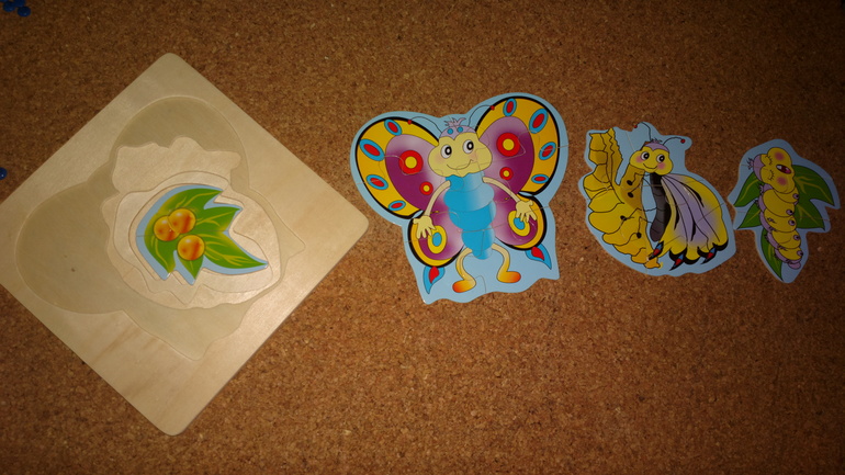 Наш Шичида ) подробности