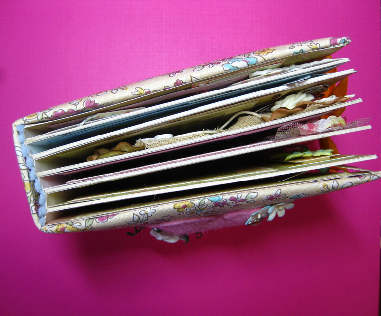 Мини-альбом первого года жизни Софии