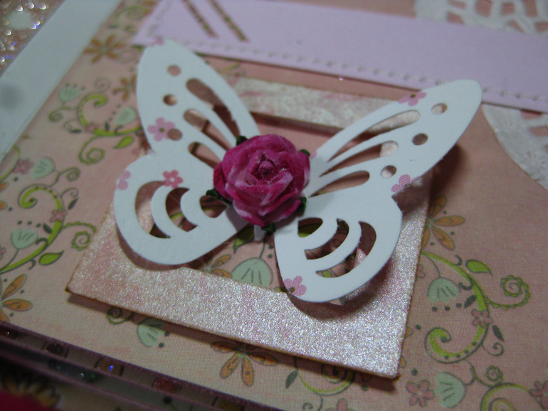 Мини-альбом первого года жизни Софии