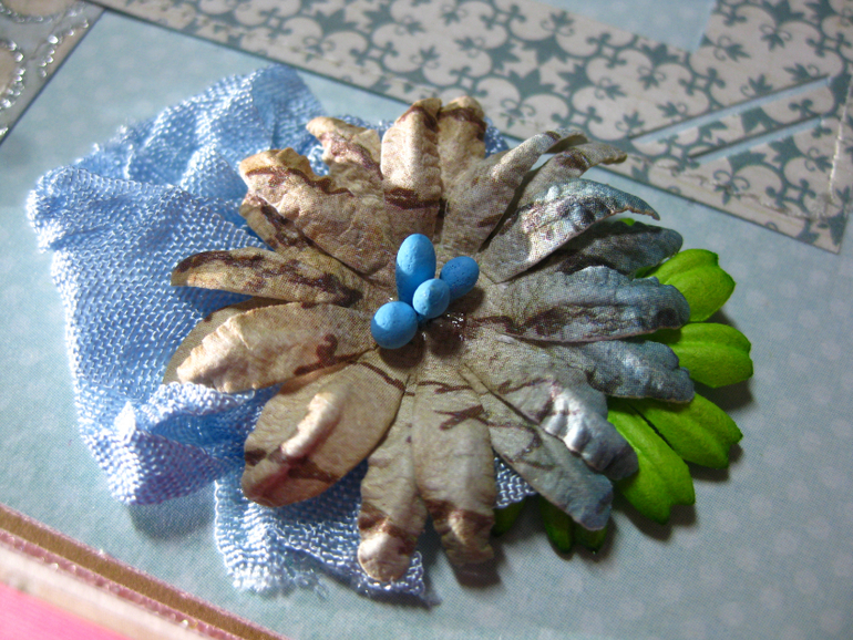 Мини-альбом первого года жизни Софии