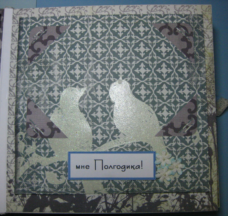 Альбом первого года жизни Малыша