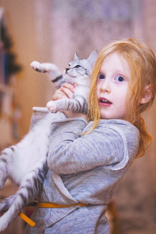 вечерние котофото