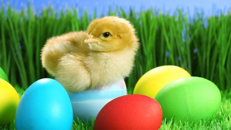 Запись на ФМ "Пасха" , для детей от 1-1,5 лет