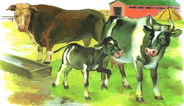 Запись на ТЗ "Корова"