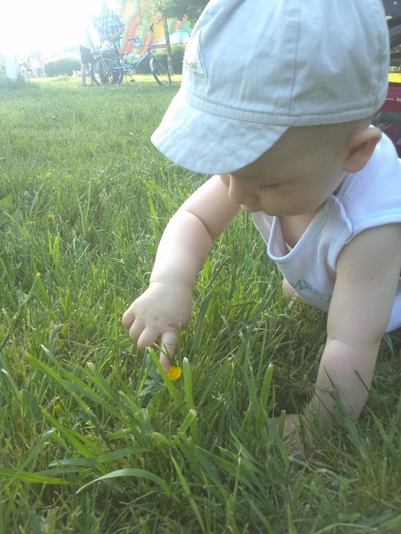 Наши прогулки...