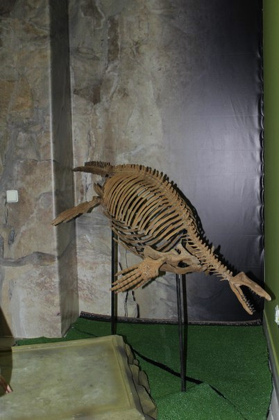 Музей динозавров в ТЦ Москва.