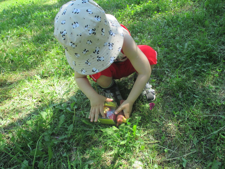 ТЗ Маша и медведь.