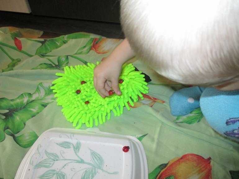 ФМ Как растут овощи.День четвертый