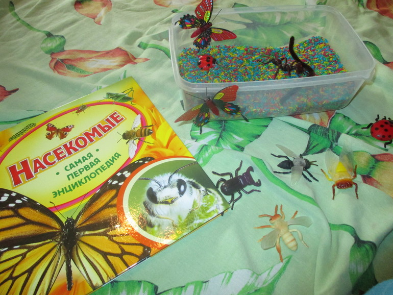 ФМ Как растут овощи.День четвертый