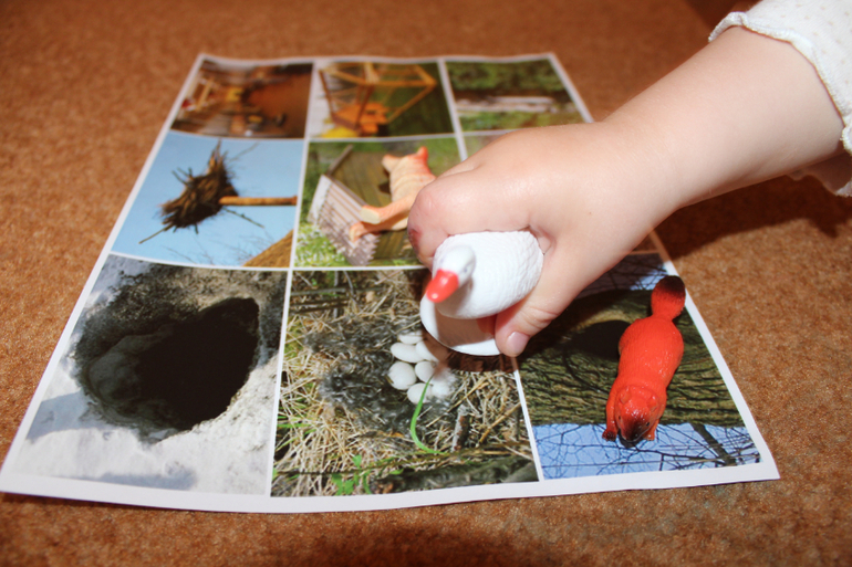ТН "Навстречу природе"