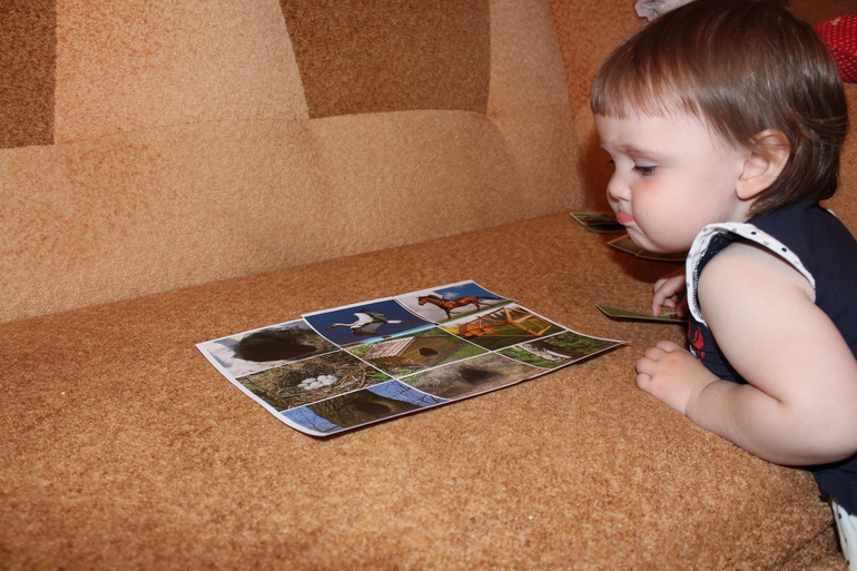 ТН "Навстречу природе"