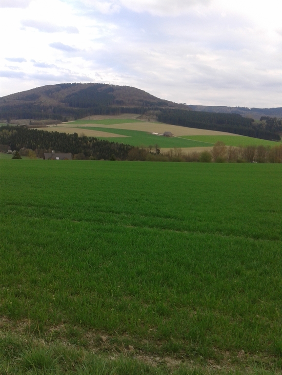 Забег на 6 км. Моя радость. Пейзажи Германии. :-)