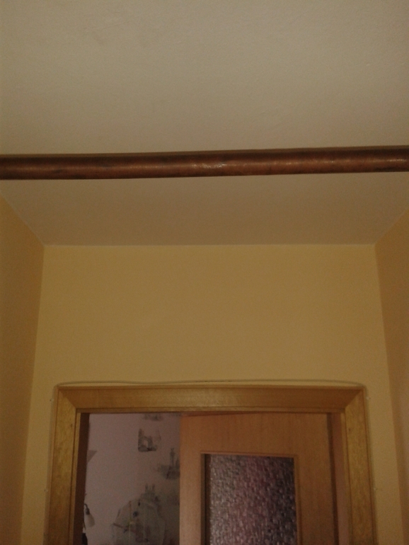 Мои помощники ... :-)