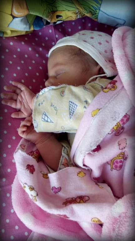 Наш компас земной