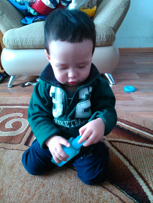 прогулка с фото)