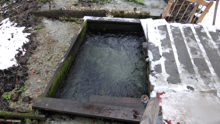 Живоносный источник.