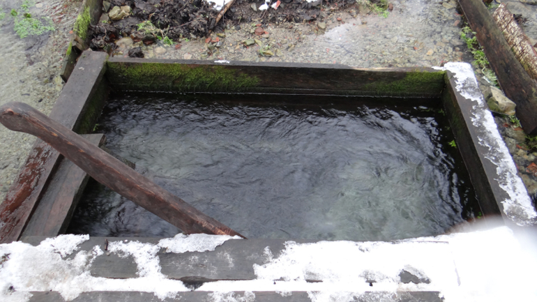 Живоносный источник.