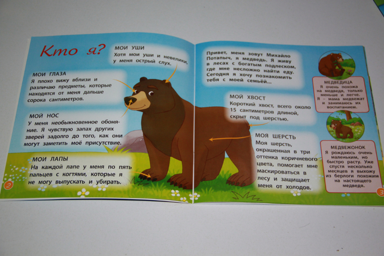 DeAgostini "Животные леса" 2-5 номер