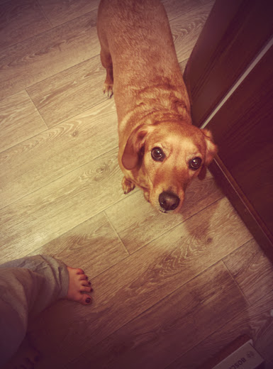 Один день из моей декретной жизни