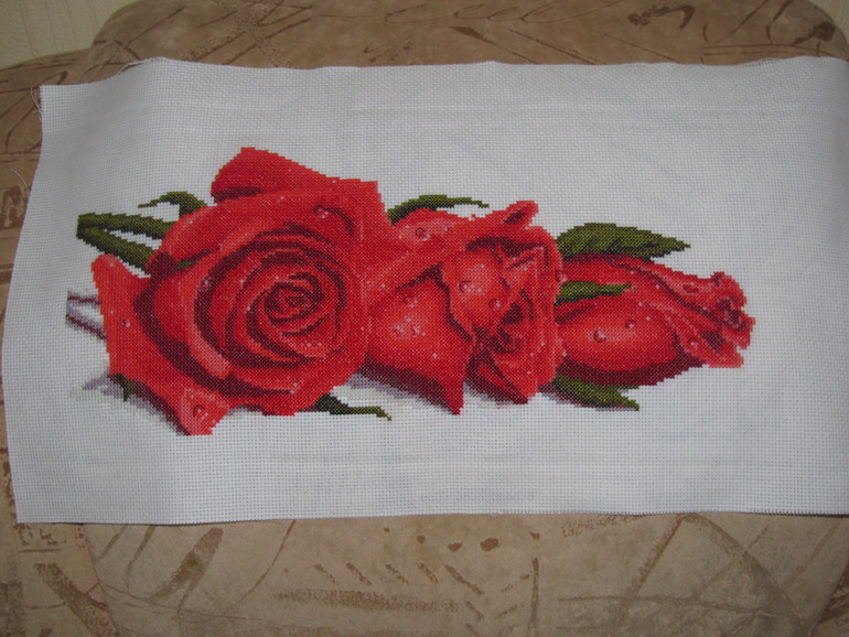 Розы в росе.