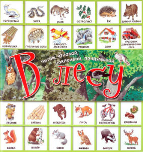 Анна Казалис: Читай, узнавай, наклеивай, придумывай/В лесу