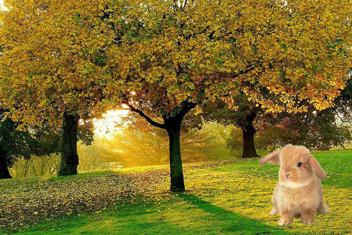 Урок №2. Вырезаем объект