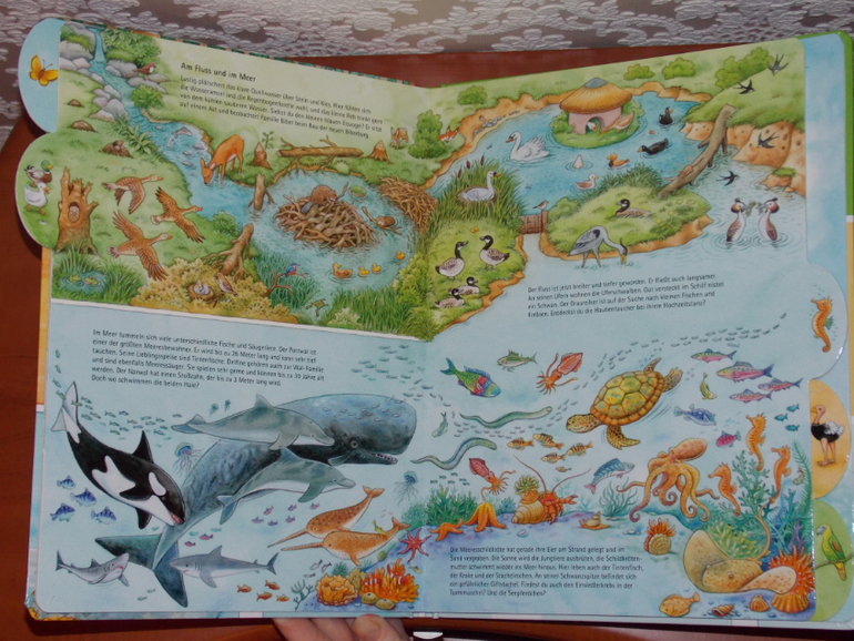 Развороты Meine Welt der Tiere by Hans-Günther Döring