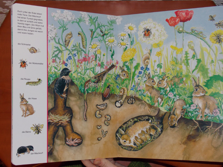 Развороты Mein großes Suchbilderbuch Tiere by Blanka Leonhardt