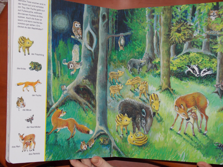 Развороты Mein extradickes Suchbilderbuchvon by Sigrid and Dieter Busch