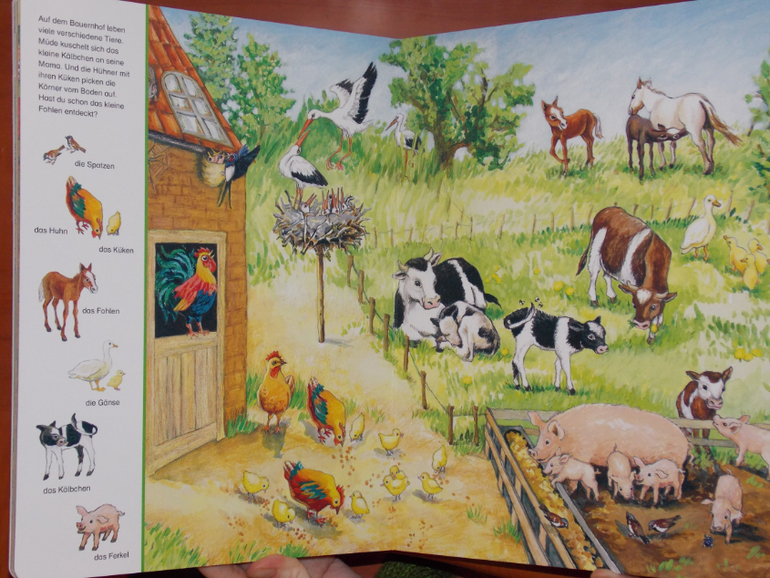 Развороты Mein großes Suchbilderbuch Tiere by Blanka Leonhardt
