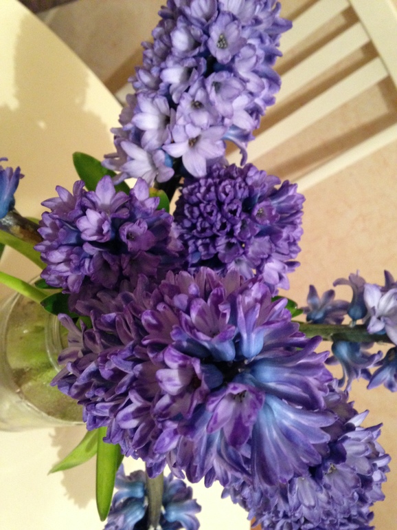 Отличный день) (фото+)