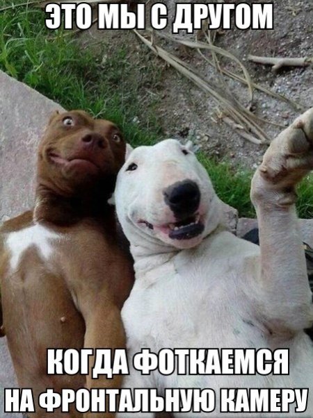 Позитфффф!!!!