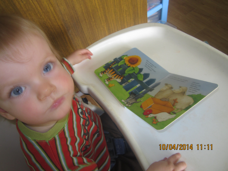 ТН "Скотный двор". День 4 - Овца