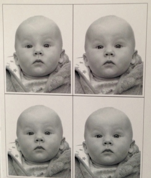 Как мы росли от 3 до 8 месяцев...