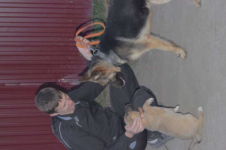 Мои любимки