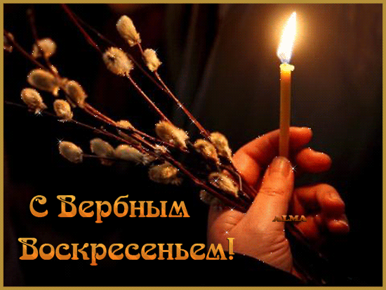 С Вербным воскресеньем!!!