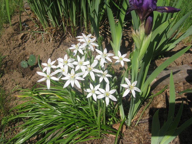 Летние, часть 1)