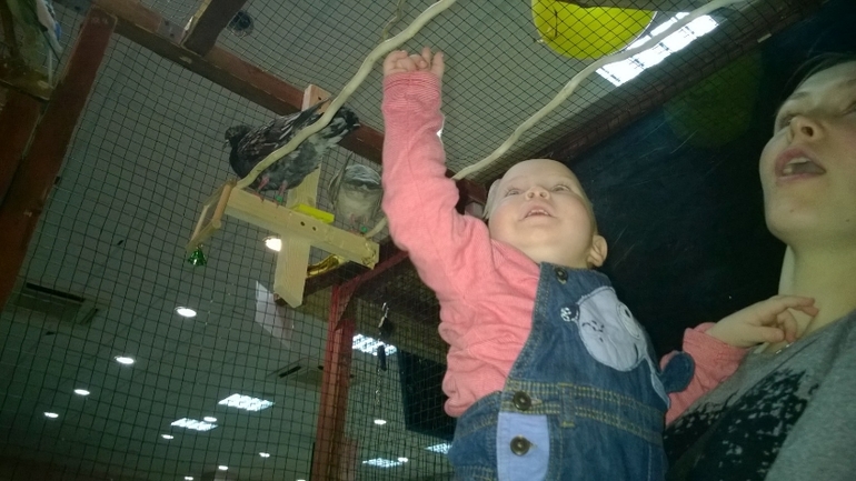 Какие мы в год :)