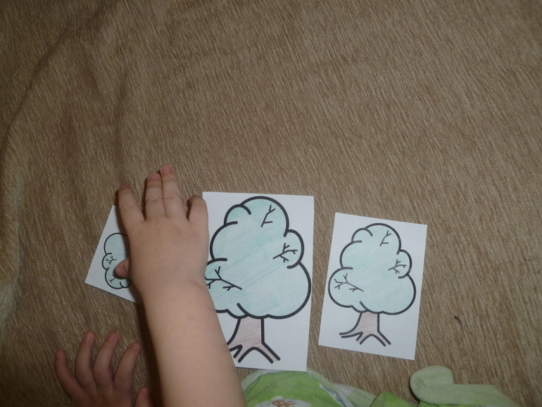 ТЗ "Петух и краски" (проект "Читаем и играем")