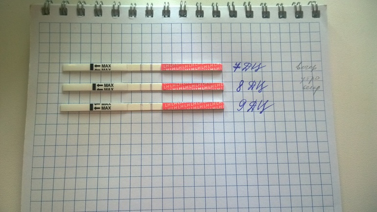 Очередной тест...