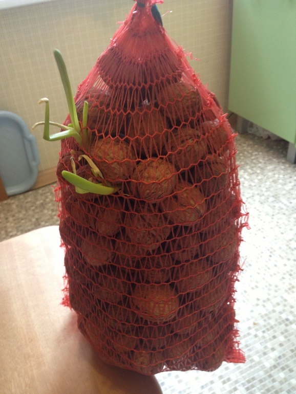 Во че нашла дома)))))