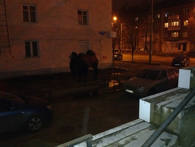 Неожиданно