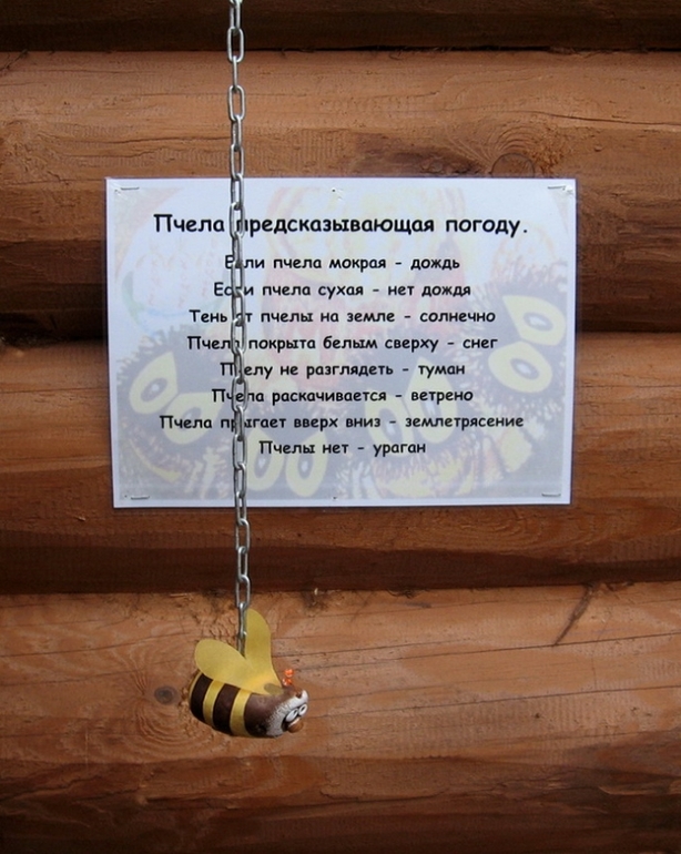 Иии... Дудутки!!!