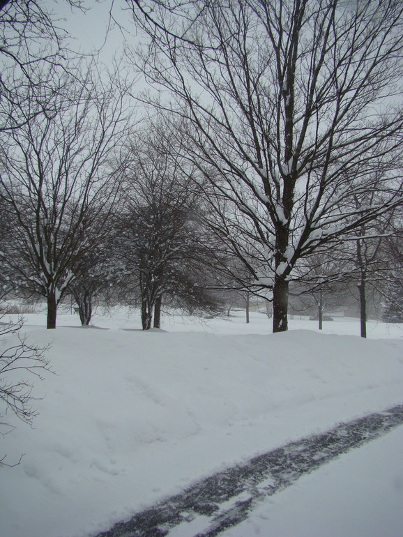 Зима разгулялась не на шутку.