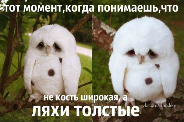 Марафон 14 февраля