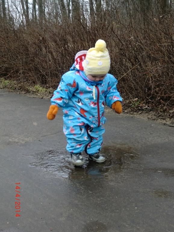 Наши прогулки.